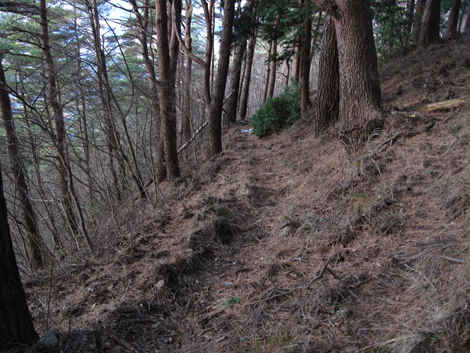 20181214hike (531)